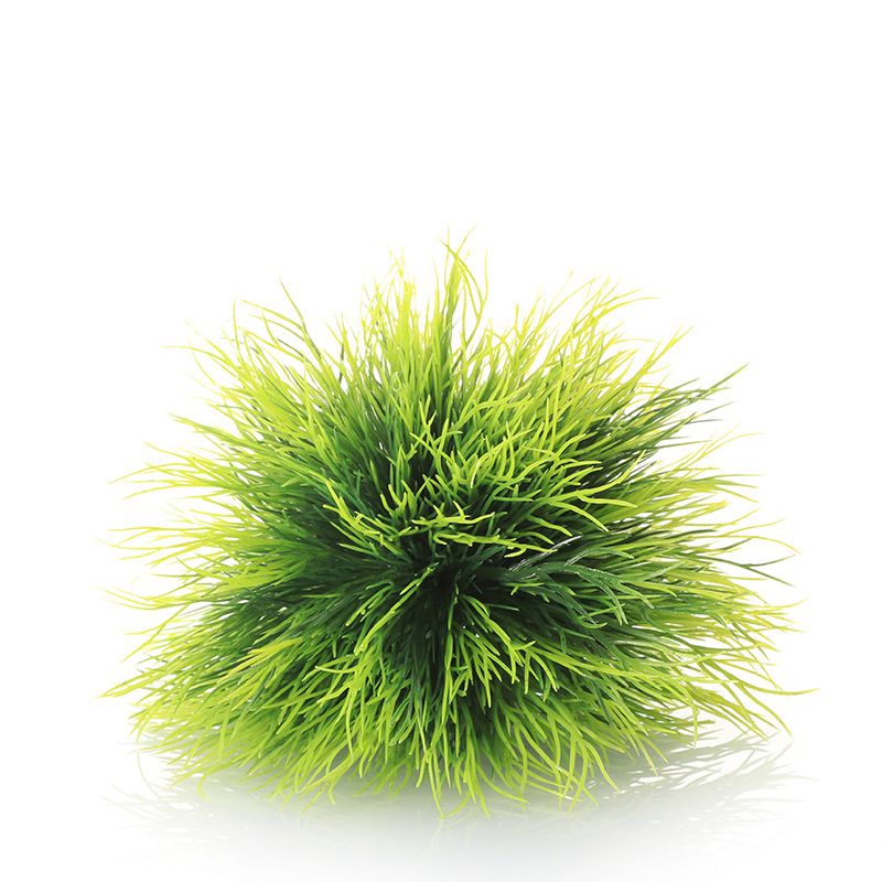 Green-Style 1